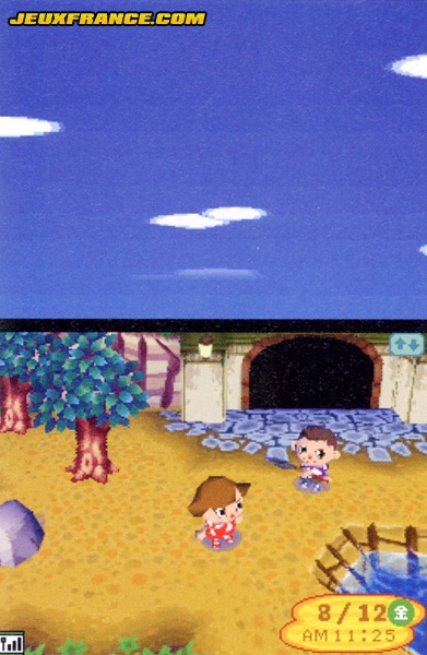 Animal Crossing DS en images