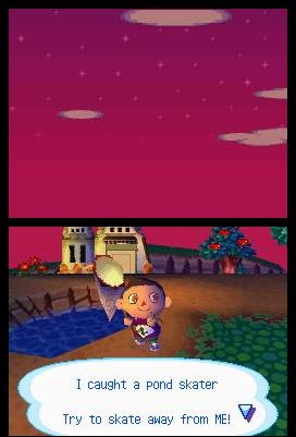 Animal Crossing en images sur DS