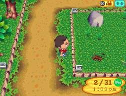 Animal Crossing en images sur DS