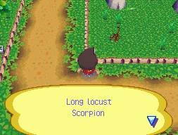 Animal Crossing en images sur DS