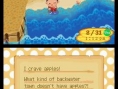 Animal Crossing en images sur DS