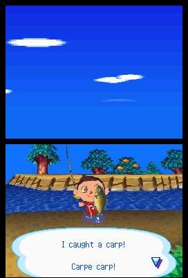 Animal Crossing en images sur DS