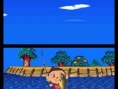 Animal Crossing en images sur DS