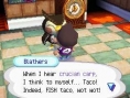 Animal Crossing en images sur DS