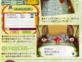 Animal Crossing DS en images