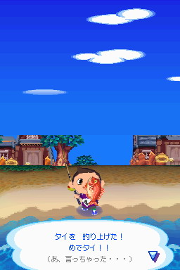 Animal Crossing DS en images