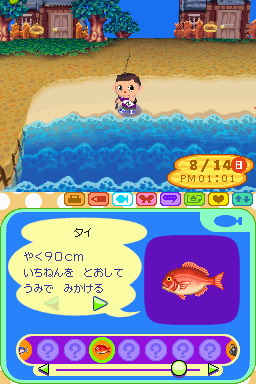 Animal Crossing DS en images