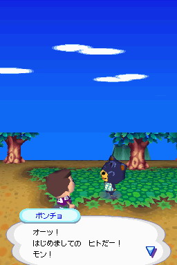 Animal Crossing DS en images