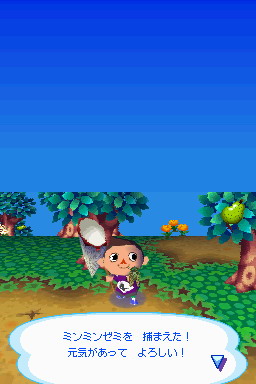 Animal Crossing DS en images