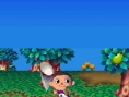 Animal Crossing DS en images