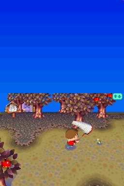 Animal Crossing DS en images