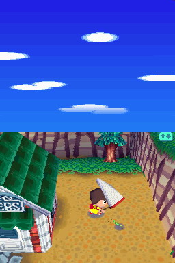 Animal Crossing DS en images