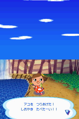 Animal Crossing DS en images