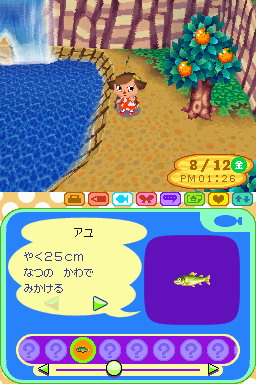 Animal Crossing DS en images