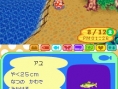 Animal Crossing DS en images