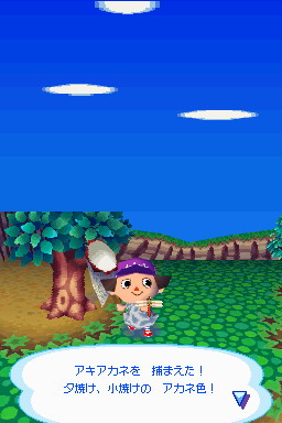 Animal Crossing DS en images