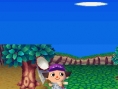 Animal Crossing DS en images