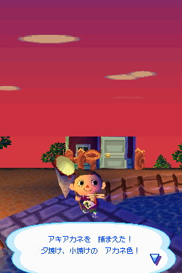 Animal Crossing DS en images