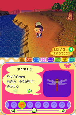 Animal Crossing DS en images