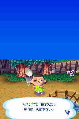 Animal Crossing DS en images