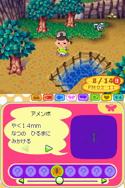 Animal Crossing DS en images