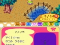 Animal Crossing DS en images