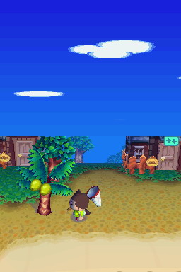 Animal Crossing DS en images