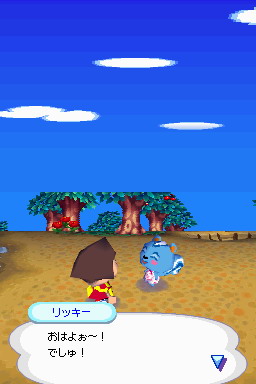 Animal Crossing DS en images