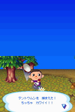 Animal Crossing DS en images