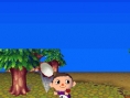 Animal Crossing DS en images
