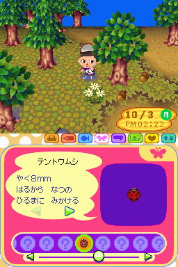 Animal Crossing DS en images