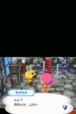 Animal Crossing DS en images