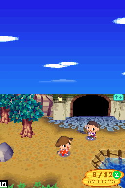 Animal Crossing DS en images