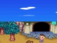 Animal Crossing DS en images