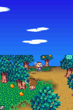 Animal Crossing DS en images