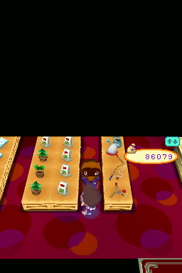 Animal Crossing DS en images