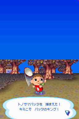 Animal Crossing DS en images