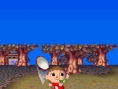 Animal Crossing DS en images
