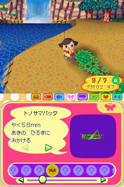 Animal Crossing DS en images