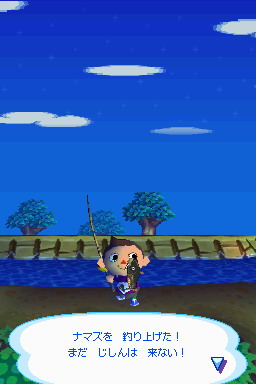 Animal Crossing DS en images