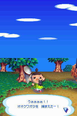 Animal Crossing DS en images