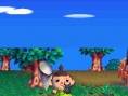 Animal Crossing DS en images