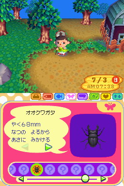 Animal Crossing DS en images