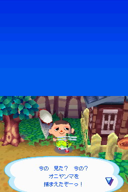 Animal Crossing DS en images