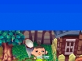 Animal Crossing DS en images