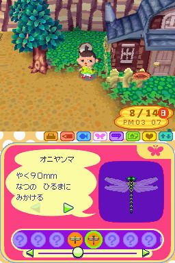 Animal Crossing DS en images