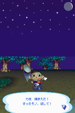 Animal Crossing DS en images