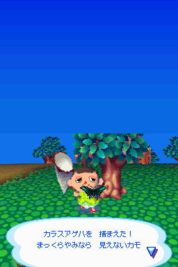 Animal Crossing DS en images