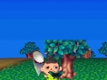 Animal Crossing DS en images