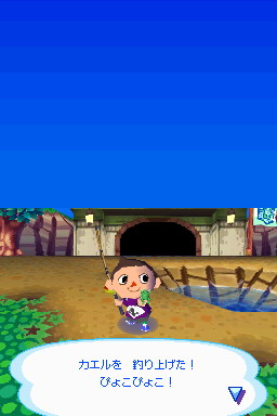 Animal Crossing DS en images